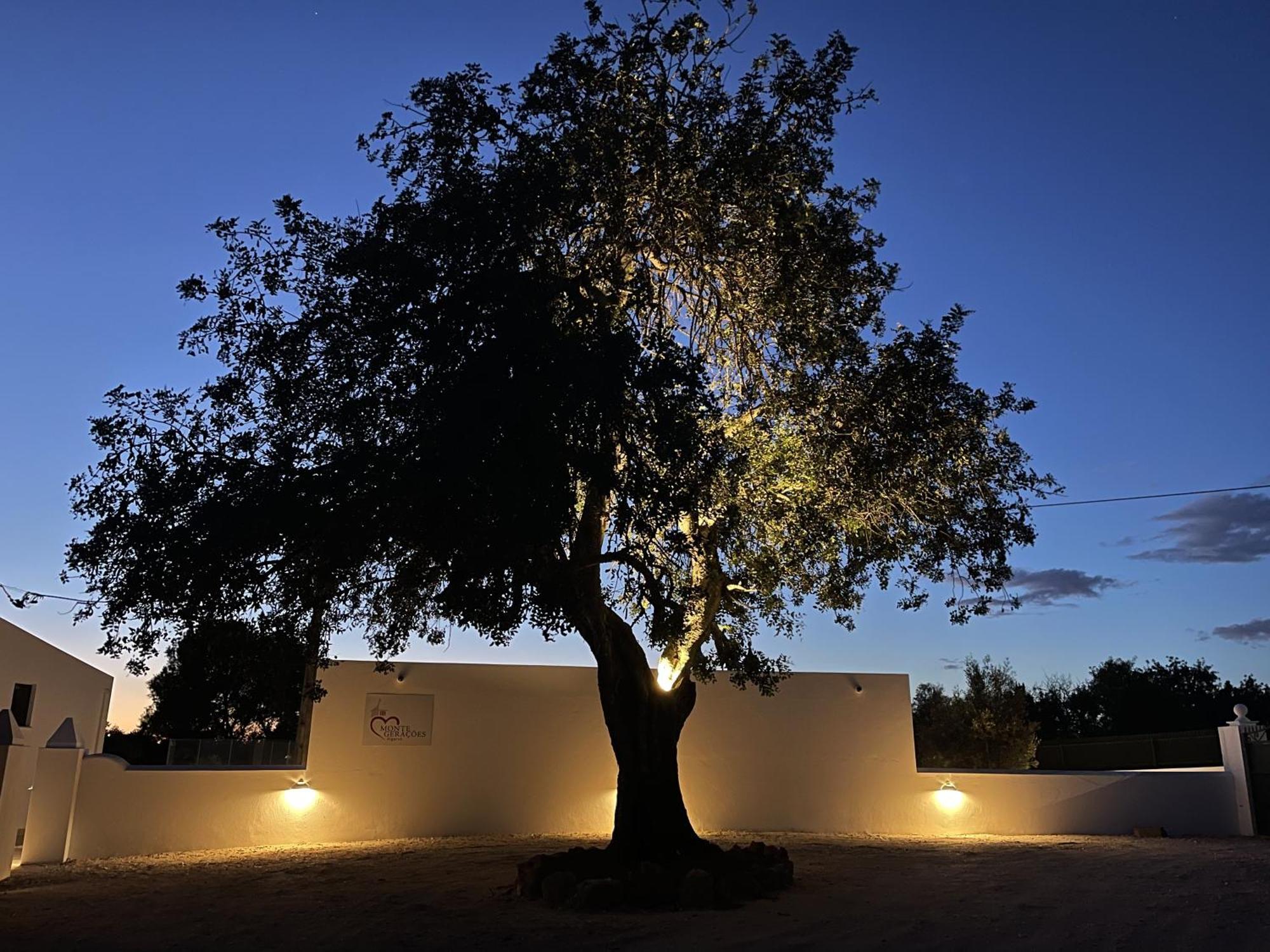 Monte Geracoes - Heated Pool - Typical Algarvian - Close To Quinta Lago, Vale Lobo And Vilamoura Almancil Exterior foto